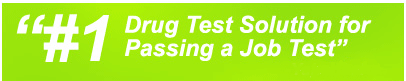 The Powdered Urine Kit is the #1 Solution for a Job Drug Test